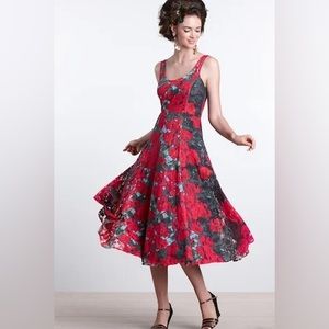 Tracy Reese Red Rose Floral Lace Tulle Dress Sz 12